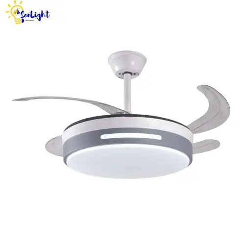 /storage/produits/product/199/conversions/01KQ28A36BPZ1H7DCSM9Y3CYNT-thumb.webp
