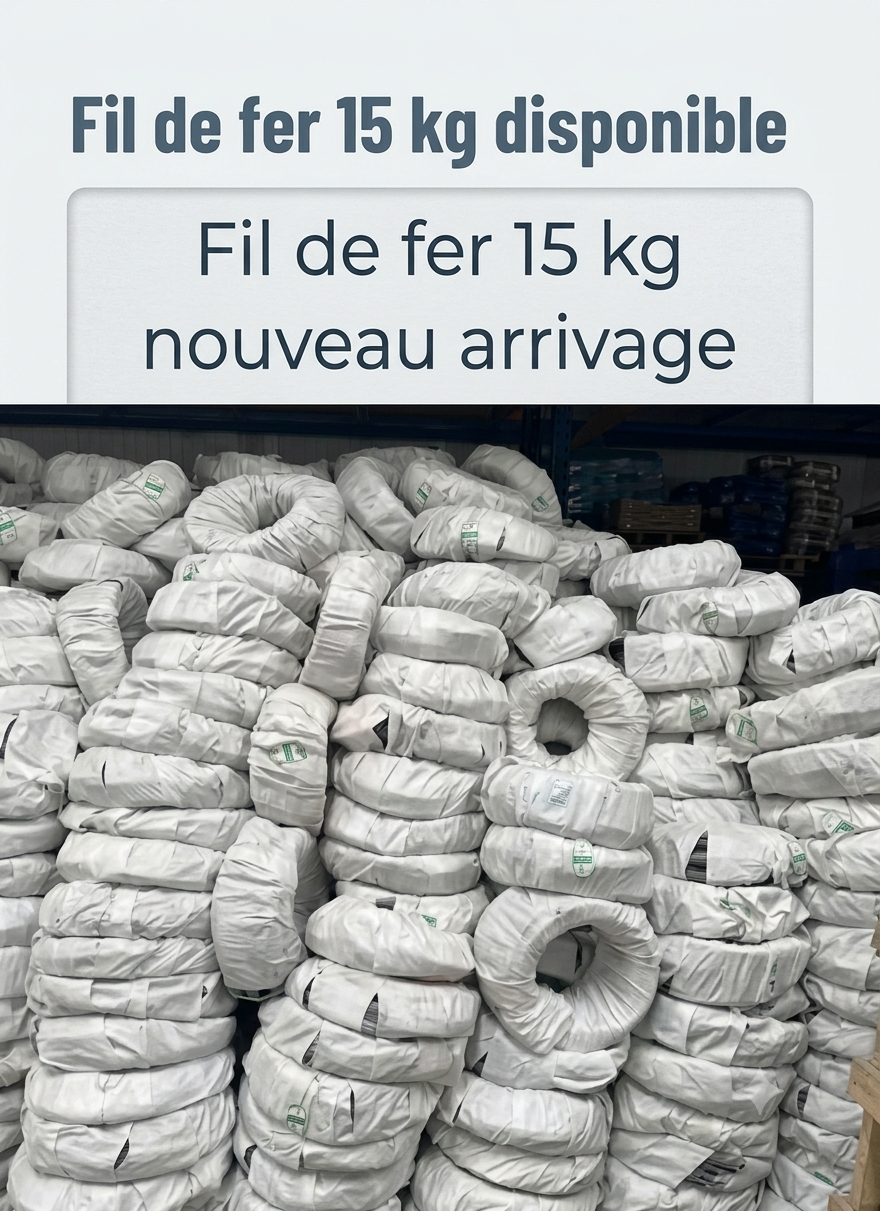/storage/produits/product/465/01KZNZ9DMCMV3DZ7YKXTM3JPGB.png