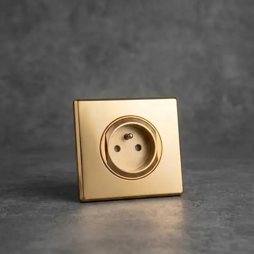 Prise avec terre Gold